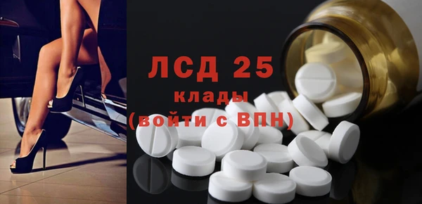 шишки Баксан