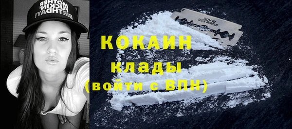 крисы Арсеньев