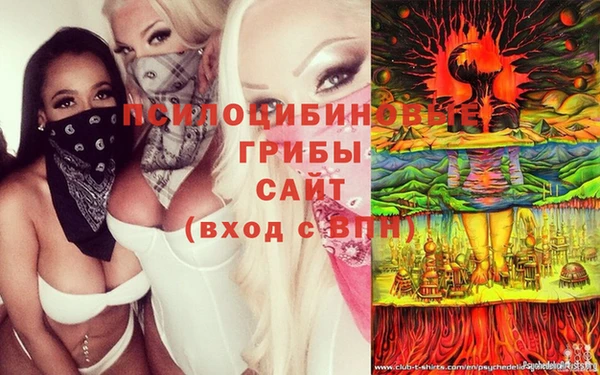 гашишное масло Балахна